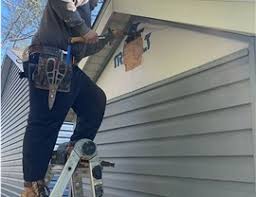 Best Siding Painting and Refinishing  in Lake Erie Beach, NY